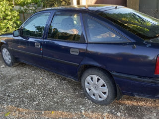 Opel Vectra фото 1