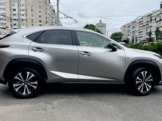 Lexus NX Series foto 5