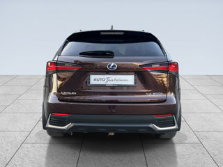 Lexus NX Series foto 6