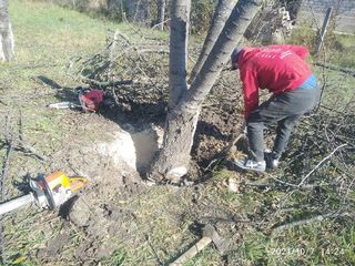 Curatim terenurile, evacuam gunoiul, sapam pamantul Уборка територии, вывоз мусора, копание foto 7