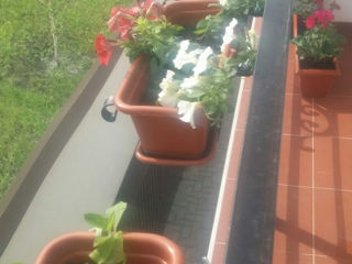 Suporturi pentru vazoane de flori la balustrada balconului foto 3
