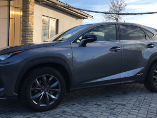 Lexus NX Series