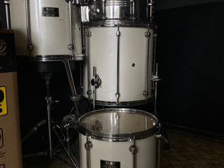 Mapex