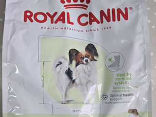 Корм Royal Canin x-small adult