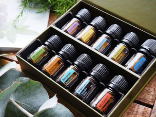 Набор эфирных масел doTERRA в чехле foto 5