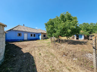 Lot de teren pentru constructii de 10 ari in Peresecina foto 7