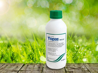 Topas 100 EC - 87$/L: Бесплатная доставка + скидки! foto 1