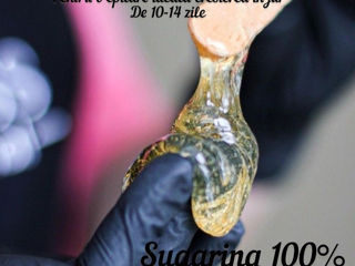 Sugaring.Tatiana Botanica str.Independenței42. foto 4