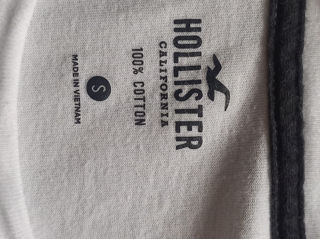 Тишка holister