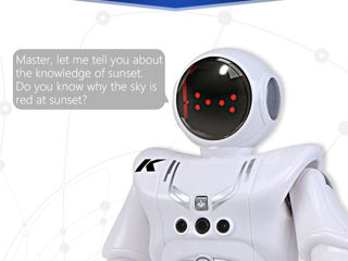 Robot Inteligent Controlabil prin Gesturi, Cu Telecomanda /Интеллектуальный робот управляемый жестам foto 8