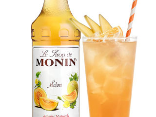 Sirop De Zămos Monin Melon Pepene Galben 700 Ml Livrare Moldova foto 3