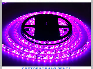 Светодиодная лента 12v, 220V, декоративная светодиодная подсветка, Panlight, освещение LED foto 4