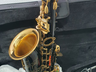 Saxofon nou foto 7