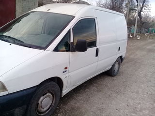 Piejo Expert Citroien Jumpi Fiat Scudo foto 2