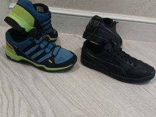 Adidas terrex,puma