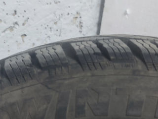 Tigar Winter 225/55 R17 foto 3