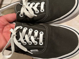 Vans      Nata