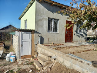 Casuta de vacanta linga iazul Danceni foto 3