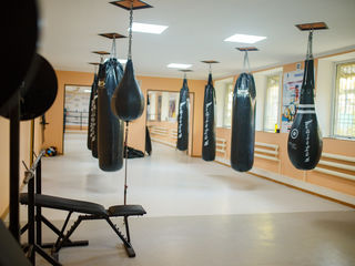 Buicani,sculianca.clubul sportiv "Garuda" invita toti doritorii la antrenamente-box,kickboxing,k-1.. foto 3