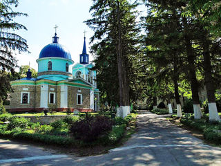 Excursie de suflet la 9 mănăstiri din Moldova foto 6