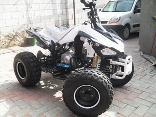 Nitro Speedi-125cc foto 4