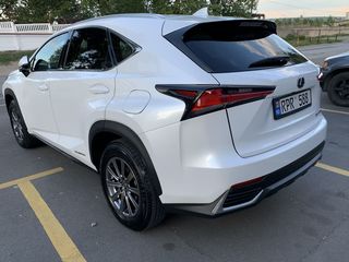 Lexus NX Series foto 7