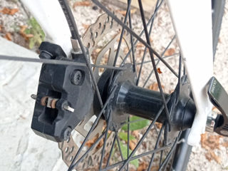 Trek Fx3 foto 4