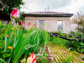 str.Soimilor, Durlesti, Chisinau foto 6