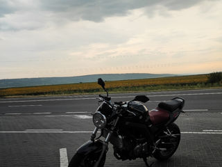 Suzuki Sv 650 foto 1