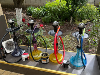 4 Narghilea Alpha Hookah