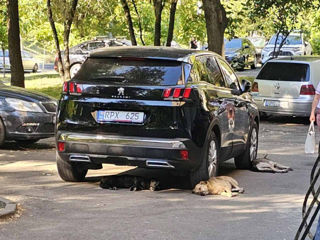 Peugeot 3008 foto 6