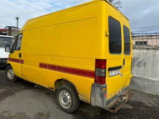 Iveco foto 2