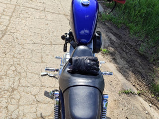 Harley - Davidson Sportster 883 foto 6