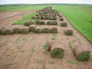 Plantarea si Irigarea Gazonului in ce mai bune conditii!! foto 8