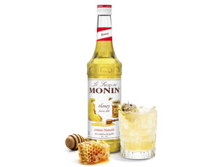 Sirop Miere De Albini Monin Honey 700 Ml Livrare Moldova