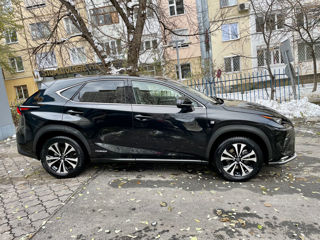 Lexus NX Series foto 10