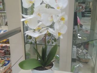 Искусственные цветы орхидея для домашнего декора./Flori artificiali foto 8