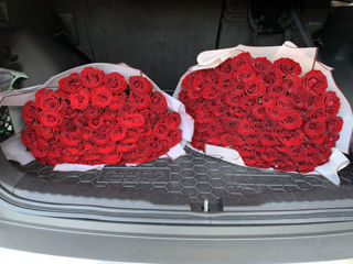 51 trandafiri 750 lei.     101 trandafiri 999 lei. foto 7