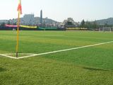 Искусственная трава для спорта одобрено ФИФА.