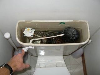 Desfundarea si curatirea de canalizarii, in bucatarie, veceu, dus, baie, chiuvete - in apartament foto 6
