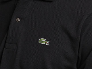 Новая оригинальная поло Lacoste foto 4