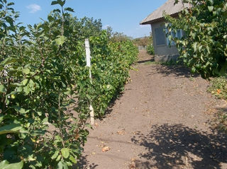 Vînd casa în Stolniceni raionul Ungheni foto 3