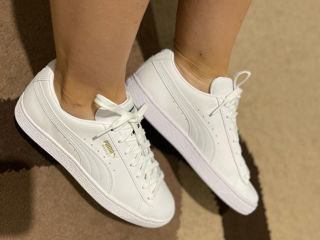 puma original trainers