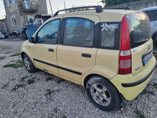 Fiat Panda foto 3