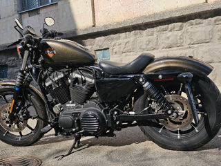 Harley - Davidson Sportster IRON 883 foto 6