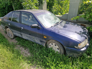 Nissan Primera foto 4