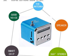 Колонка Bluetooth с Radio и с поддержкой карты памяти Micro SD и USB. фото 3