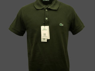 Lacoste foto 10