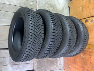 R16/60/205 Dunlop (Iarna) foto 2