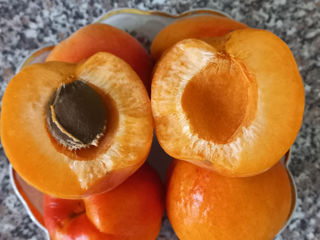 Pomi fructiferi Stenlei foto 5